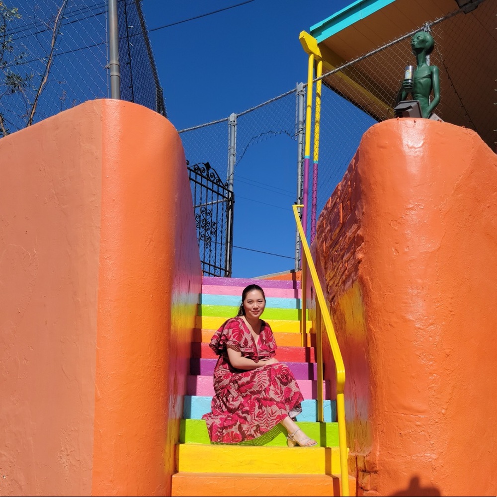 *Rare* Johanna Ortiz H&M dress